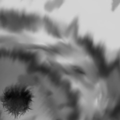 Sprouting