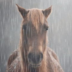 EX GRRL(Prod.Cabber)