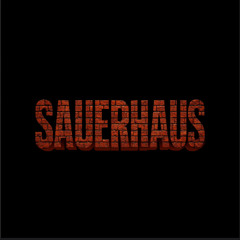 HALLOWEEN HOUSE MIX (SAUERHAUS DEBUT)