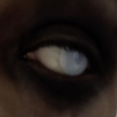 destroy lonely - cartier (remastered)