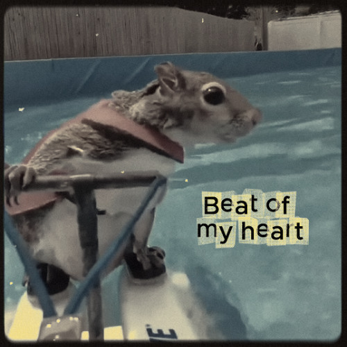 Beat of my heart