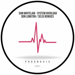 Sam Whitelaw - System Overload - Selsi Remix - PGN027