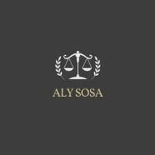 Aly Sosa: Shattering Glass Ceilings and Making Waves in the Legal and Economic Fields