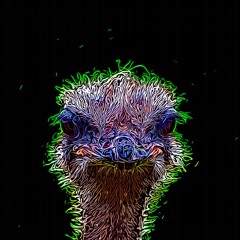Vogelstrauß // Lunatics in Dub // with cosmic ratzzz & joerxworx