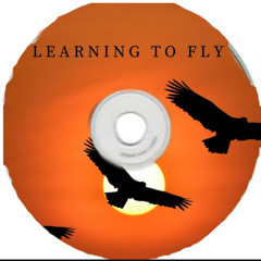 Learning To Fly (beautiful people edit) EMRI