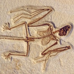 uncomfortable (+nn0dder)