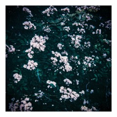 Child I Will Hurt You (Bones Malone remix)