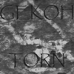 Gekoh Beats - "Torn" | Sad Emotional Trap Hip Hop Rap Beat Instrumental