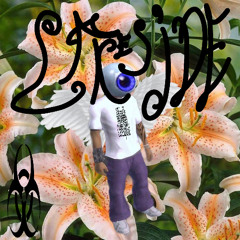 SW1TTCCH3DD (@JUNGLEGUD)