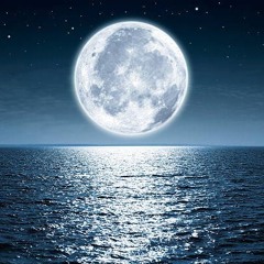 In the moonlight freestyle (prod. Sogimura)