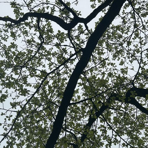 i am allowed to exist