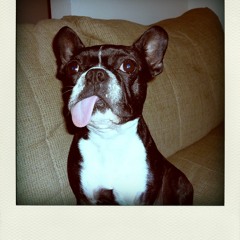 Vatliss X 43 - Fuck It Up