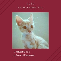 Hosu - Missing You (Original Mix)