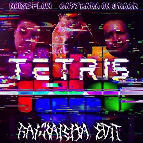 Noiseflow & Capybara On Crack - TETRIS (Rankaisija Kick edit)