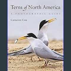Ebook PDF  💖 Terns of North America: A Photographic Guide [PDF]