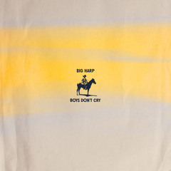 Boys Don't Cry
