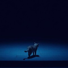 "封印された猫の嘆き - The Sealed Cat's Lament