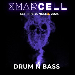 Set Fire Jungle 🔥Melhores do Drum n Bass 2025