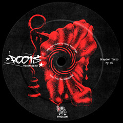 Braydon Terzo - My 45