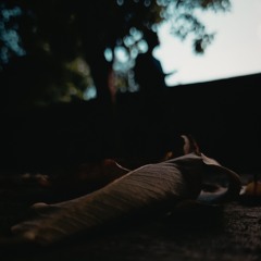 Arijit_Singh_Jukebox_2024_Hansel_