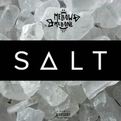 Salt (2016)