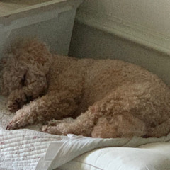 내가 아니게 되