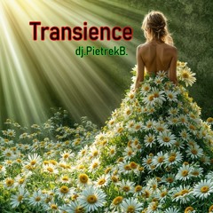 Transience