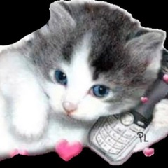 ayla_ama_gatos.mp3