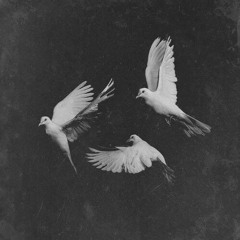 Dove - Antihoney (Instrumental)