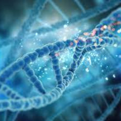 DNA + k0ji (prod bandeja)