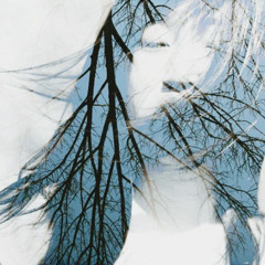 you (9569, centrlx) #бабскийтрек