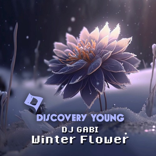 DJ Gabi - 冬花 (Winter Flower) (Out Now) [Discovery Young]