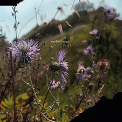 southern wind