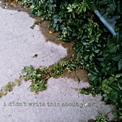 i didn't write this about you