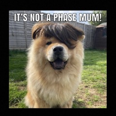 chowchow + 888rks (prisegabi)