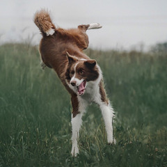 Boss GX 10 - First Time Playing - Direct Line Out into DAW