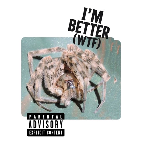 I’m Better ( Wtf ) ft Big Klit , Confl!ct prod What We Got Mizz