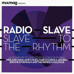 Bring Joy (Radio Slave Joy & Pain Remix) (Mixed)