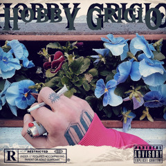 “Hobby Grigio” wog