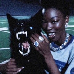 wolfgang puck v2 (album edit)