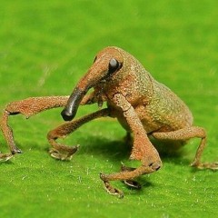 NAW M8 TF U PUT HERE