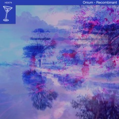 Onium - Dubsect