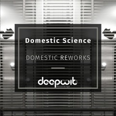 Domestic Science - Domestic Reworks EP