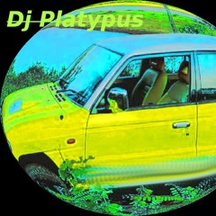 pajero - summer edition by dj platypus