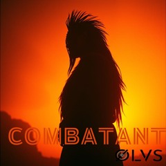 Combatant