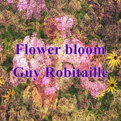 Flower bloom
