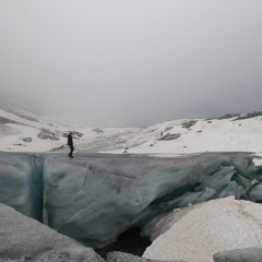 Dino (AT)- 2022 November Mix