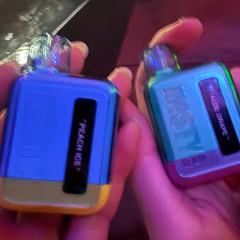 3개월차 셋 표본(.live)