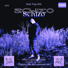 Schizo (Slowed Version)