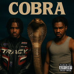 cobra -HOLLOW ASTRAL FT TAE’MAR! (prod.JAWZ)
